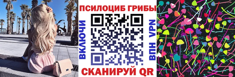 Купить где  Петухово  Галлюциногенные грибы Magic Shrooms 